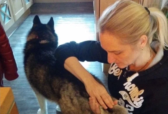 Behandlung eines Hundes