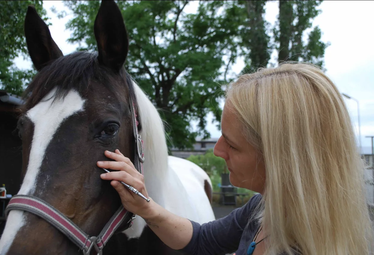 Sonja Skopik mit einem Pferd